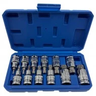 Nástrčné kľúče spline M4-M20 12 dielna 1/2" sada FT01222