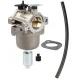 Karburátor Briggs & Stratton 591731 594593 794572 796109 10-01018