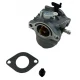 Karburátor Briggs & Stratton 495706 498027 498231 499161 799728 10-01019