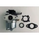 Karburátor Briggs & Stratton séria 700 750 DOV 10-01022