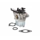 Karburátor Briggs & Stratton séria 700 750 DOV 10-01022