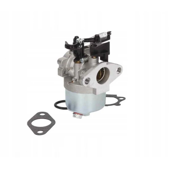 Karburátor Briggs & Stratton séria 700 750 DOV 10-01022