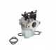 Karburátor Briggs & Stratton séria 700 750 DOV 10-01022